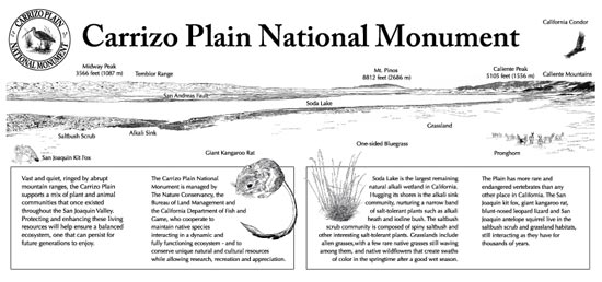 Carrizo Plain National Monument overlook panorama