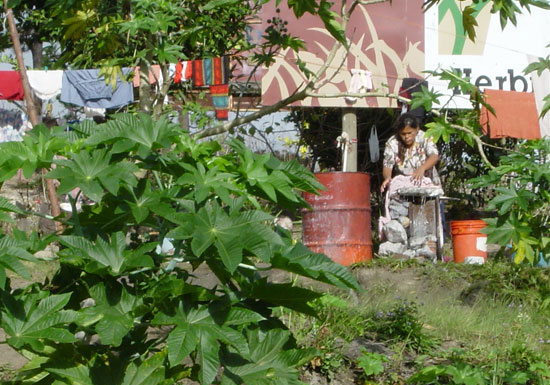 Woman living under a billboard, Honduras