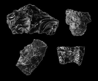 four obsidian points